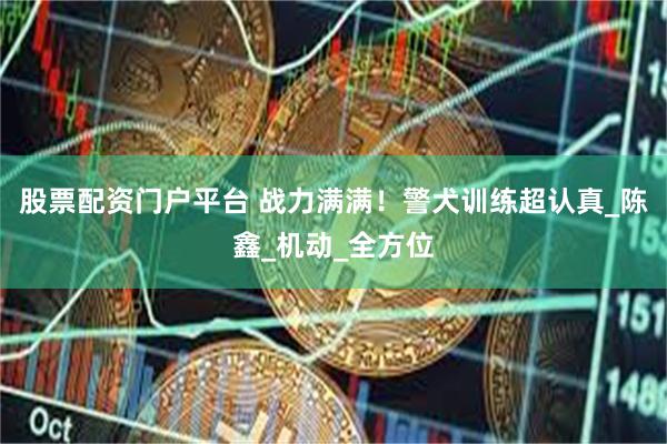 股票配资门户平台 战力满满！警犬训练超认真_陈鑫_机动_全方位