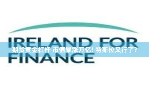 期货黄金杠杆 市值暴涨万亿! 特斯拉又行了?