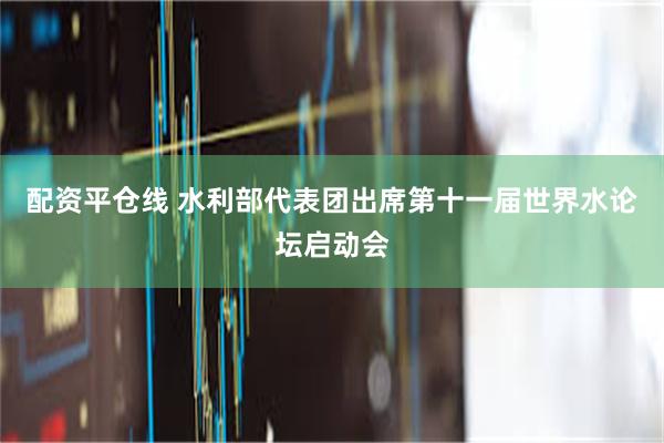 配资平仓线 水利部代表团出席第十一届世界水论坛启动会