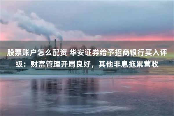 股票账户怎么配资 华安证券给予招商银行买入评级：财富管理开局良好，其他非息拖累营收
