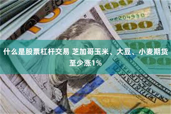 什么是股票杠杆交易 芝加哥玉米、大豆、小麦期货至少涨1%