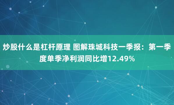炒股什么是杠杆原理 图解珠城科技一季报：第一季度单季净利润同比增12.49%
