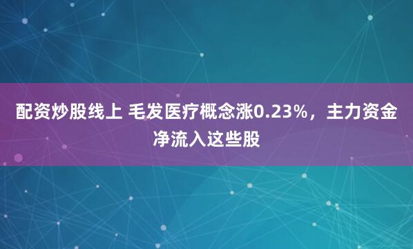 配资炒股线上 毛发医疗概念涨0.23%，主力资金净流入这些股