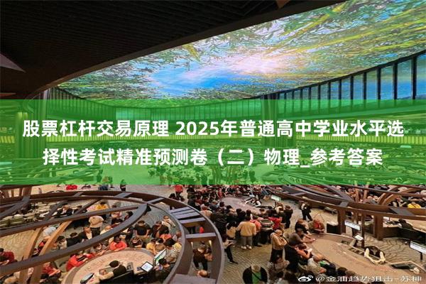 股票杠杆交易原理 2025年普通高中学业水平选择性考试精准预测卷（二）物理_参考答案