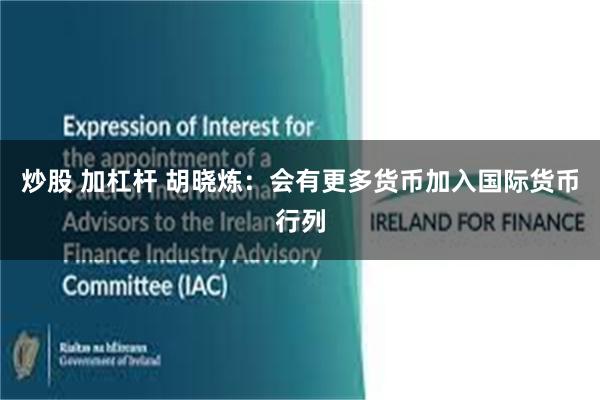 炒股 加杠杆 胡晓炼：会有更多货币加入国际货币行列