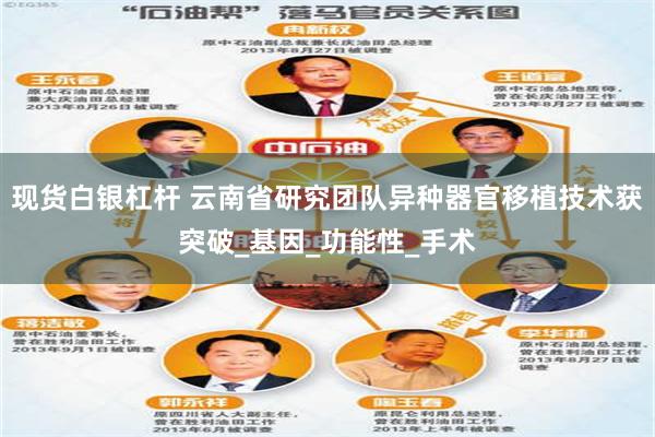 现货白银杠杆 云南省研究团队异种器官移植技术获突破_基因_功能性_手术