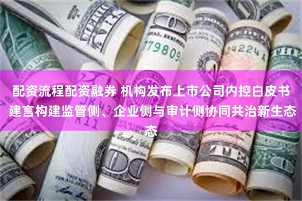配资流程配资融券 机构发布上市公司内控白皮书 建言构建监管侧、企业侧与审计侧协同共治新生态